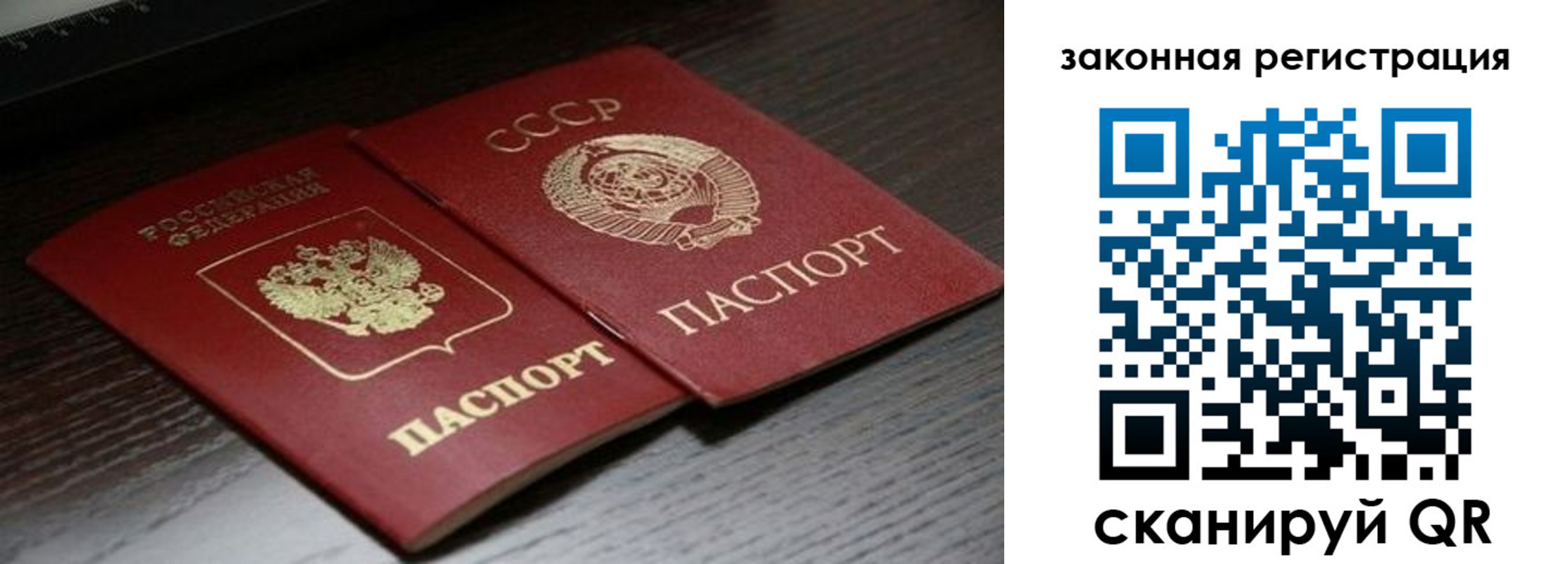 прописка поиск в Североморске
